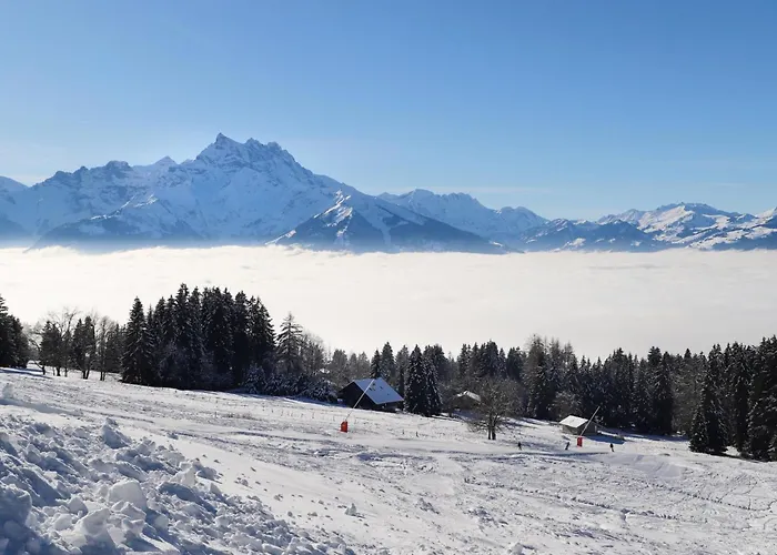 Grand B47 By Interhome * Villars-sur-Ollon