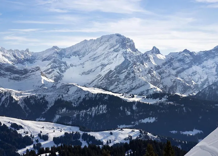 Grand B47 By Interhome *