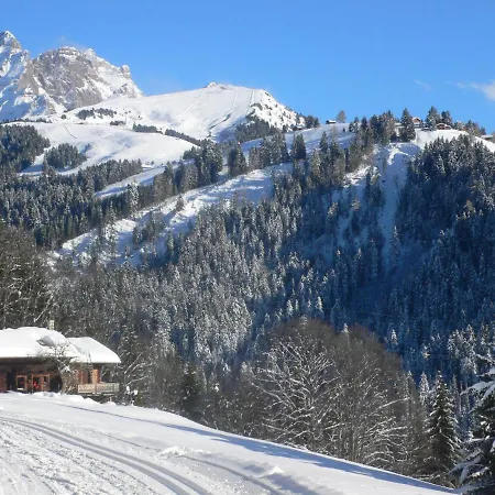 Grand B47 By Interhome * Villars-sur-Ollon